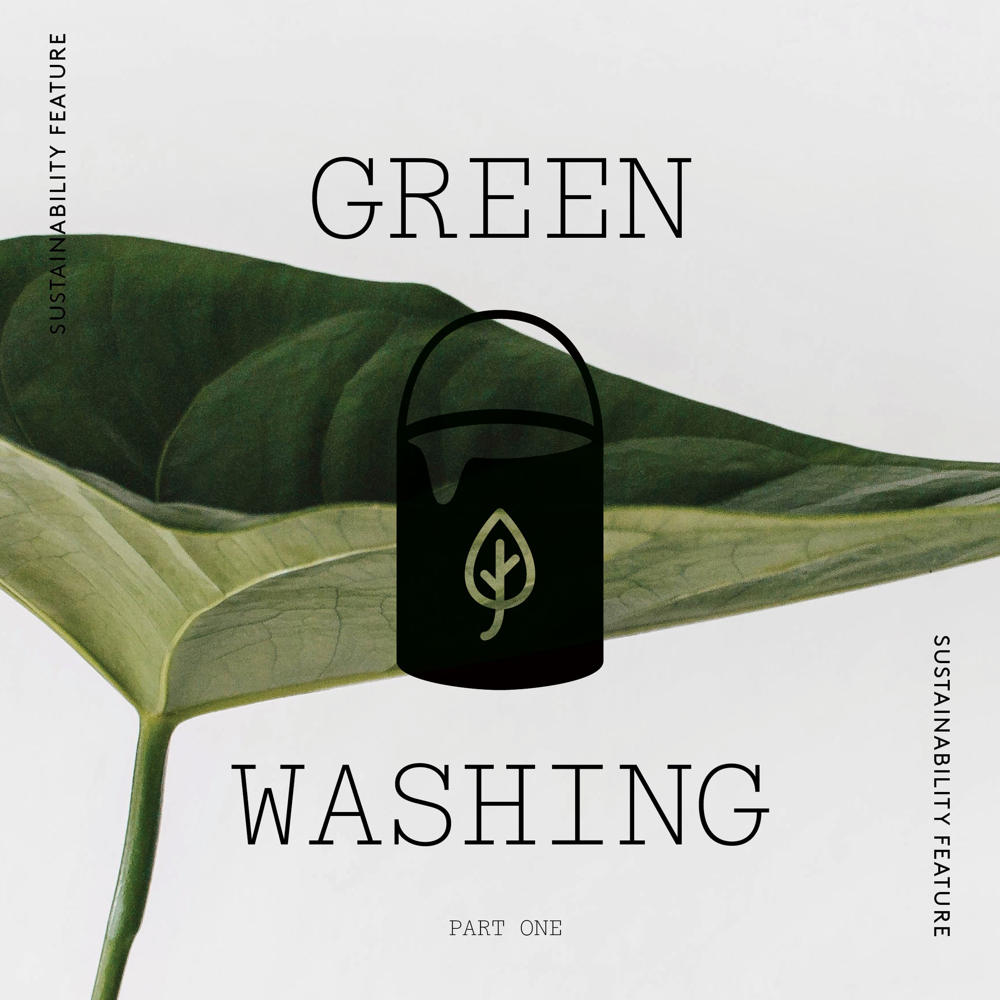 What is greenwashing?