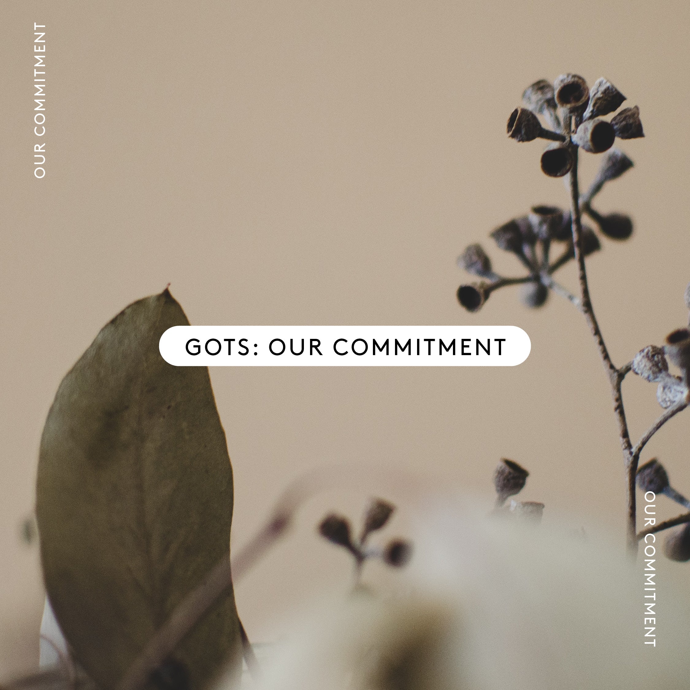 Loop Home commitment to GOTS certification